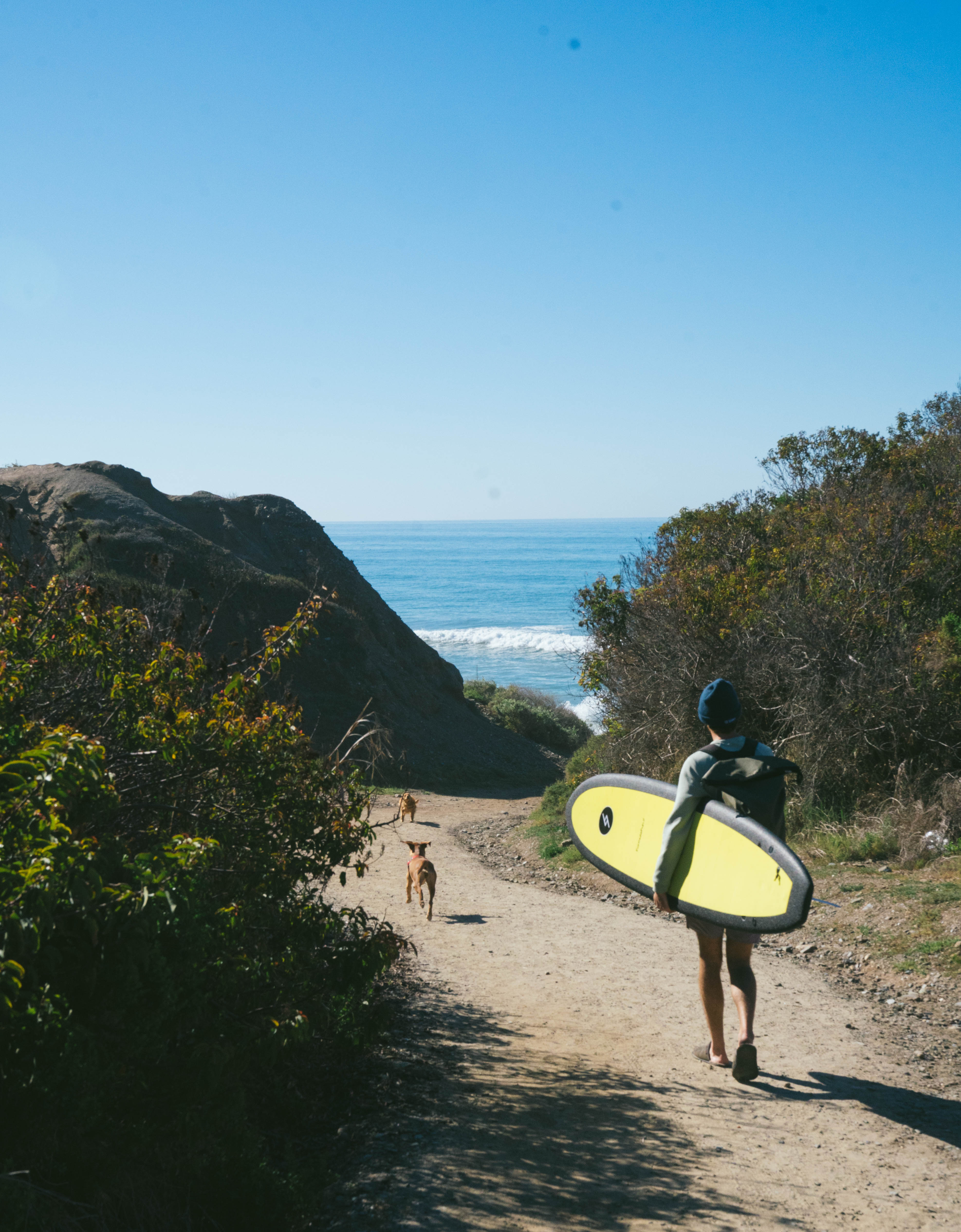A surfer carries a yellow board down a coastal trail with two dogs ahead